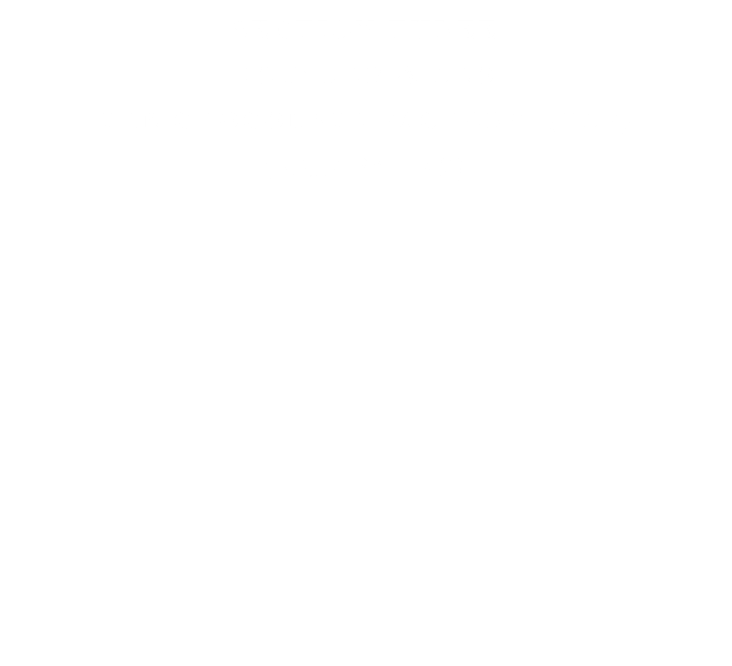 SECTION THREE FOUNDER & CEO THE CHOCOLATE FACTORY (TCF) (AGE 26 - 42)