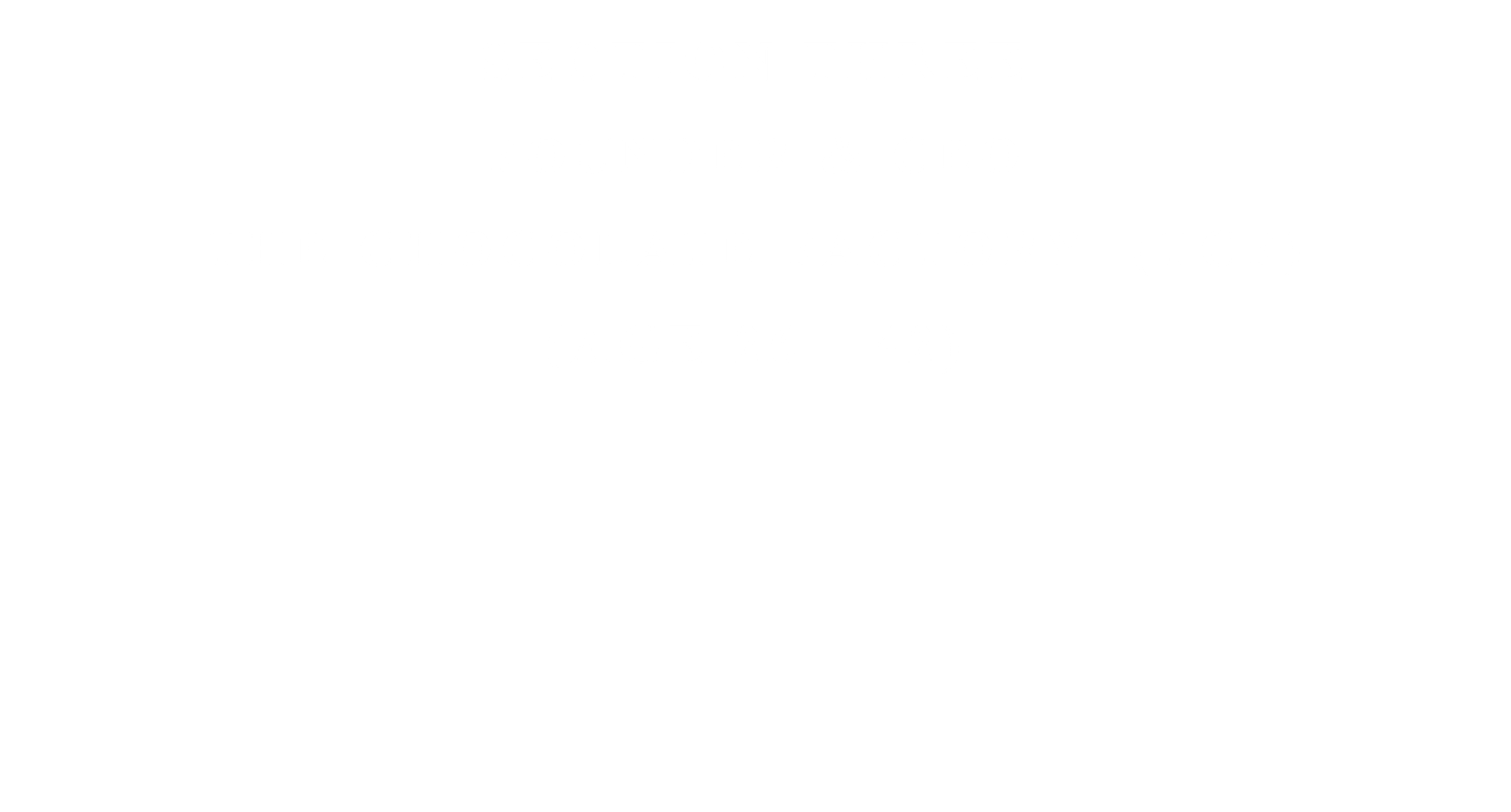 SECTION THREE FOUNDER & CEO THE CHOCOLATE FACTORY (TCF) (AGE 26 - 42)